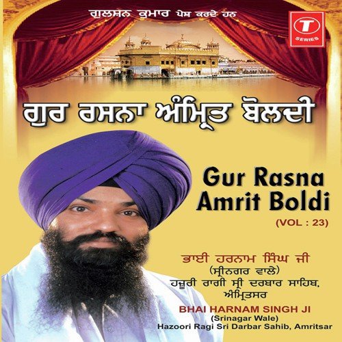 Bhai Harnaam Singh Ji-Srinagar Wale Songs MP3 Download